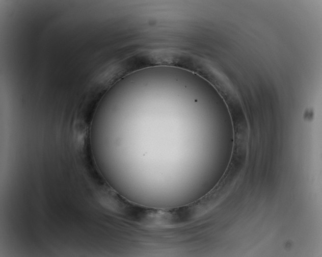 X0000103270125200809051516