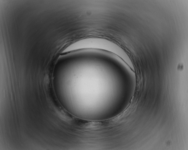 X0000103270128200809051516