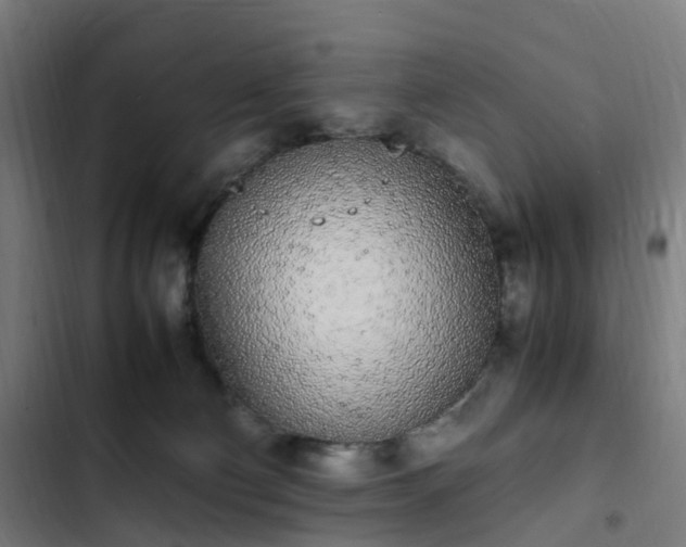 X0000103270130200809051516