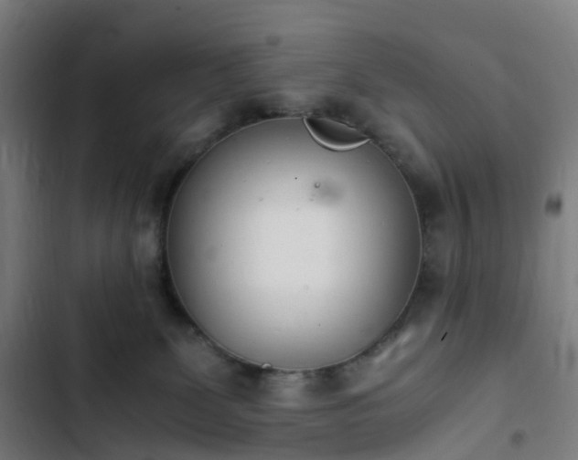 X0000103270131200809051516