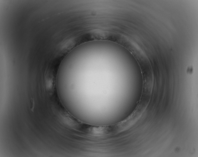 X0000103270134200809051516
