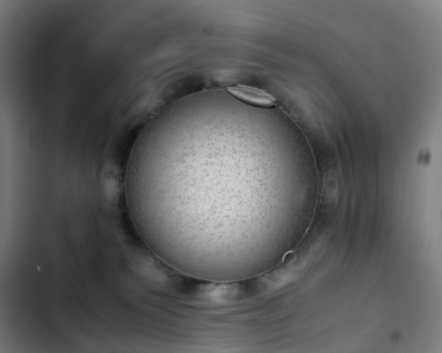 X0000103270135200809051516