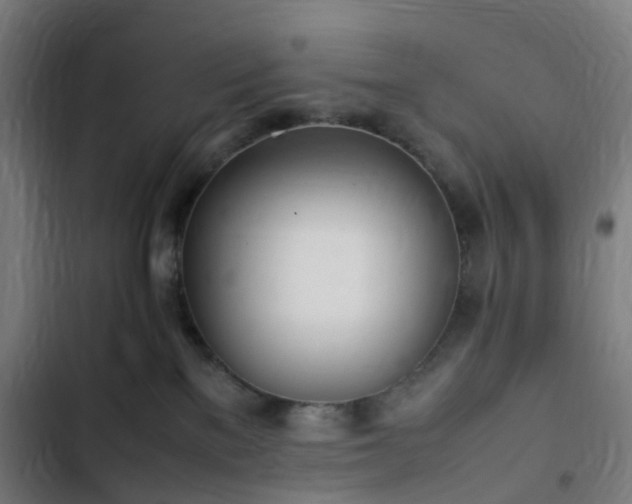 X0000103270137200809051516