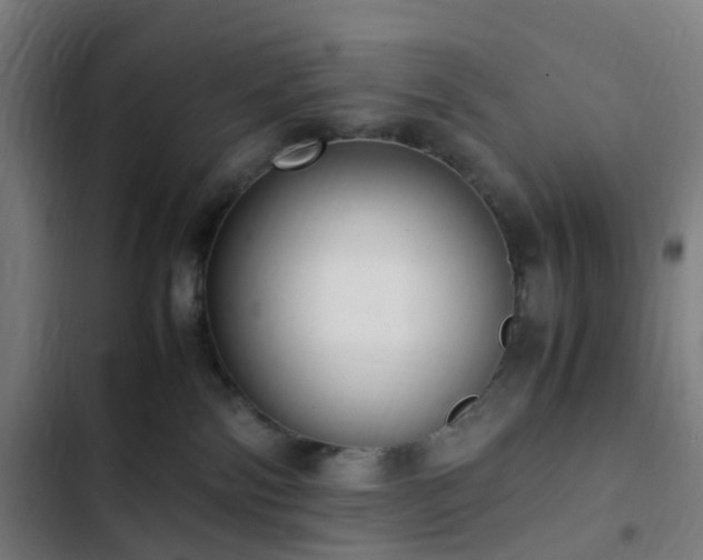 X0000103270138200809051516