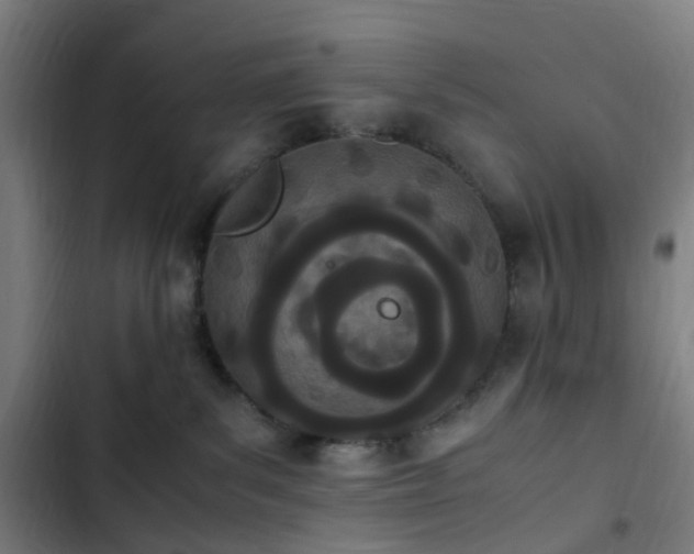 X0000103270139200809051516