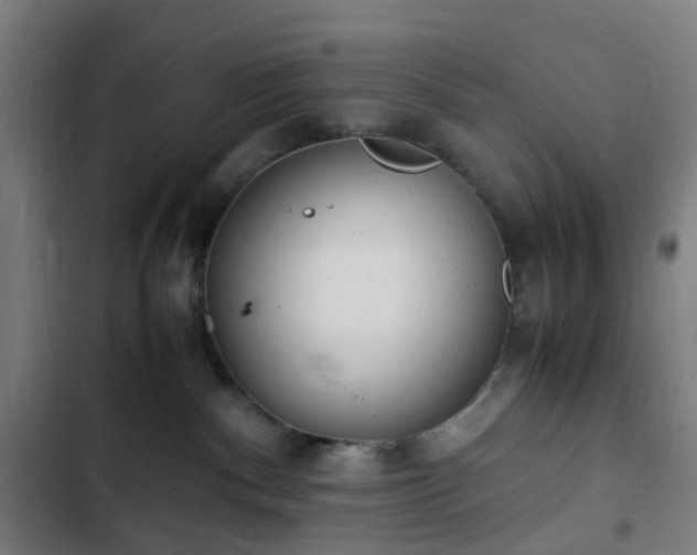 X0000103270140200809051516