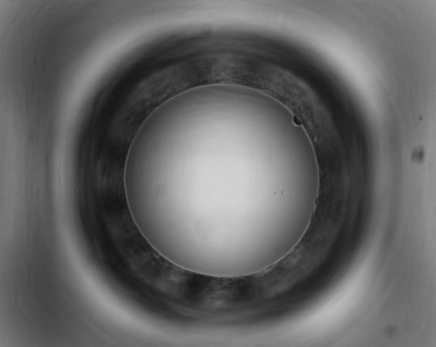 X0000103270142200809051516