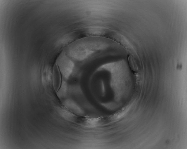 X0000103270143200809051516