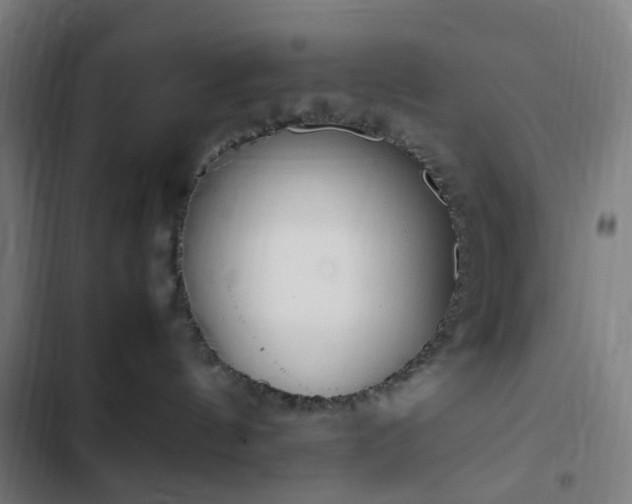 X0000103270144200809051516