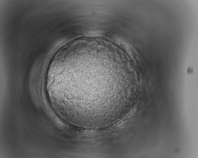 X0000103270145200809051515