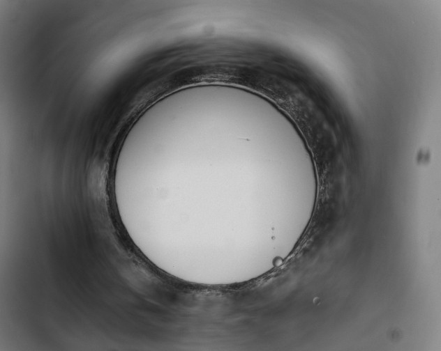 X0000103270146200809051515
