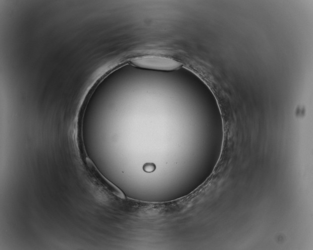 X0000103270148200809051515
