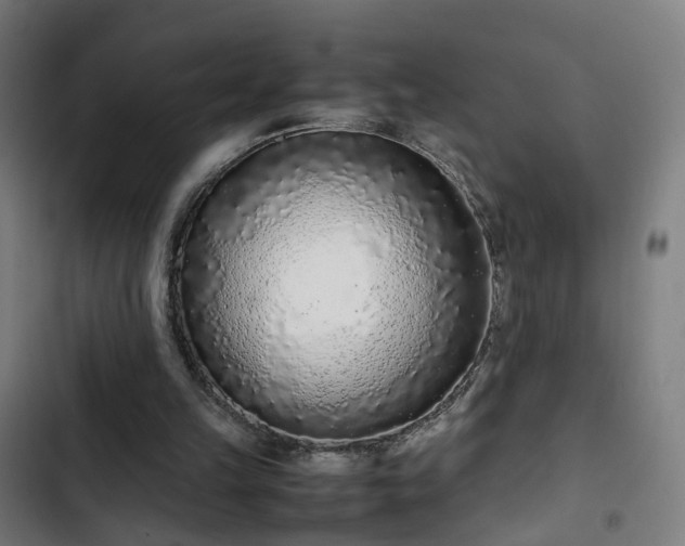X0000103270149200809051515