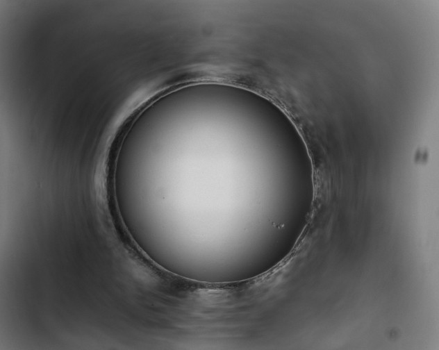 X0000103270150200809051515