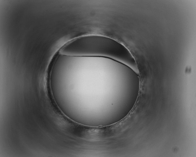 X0000103270152200809051515