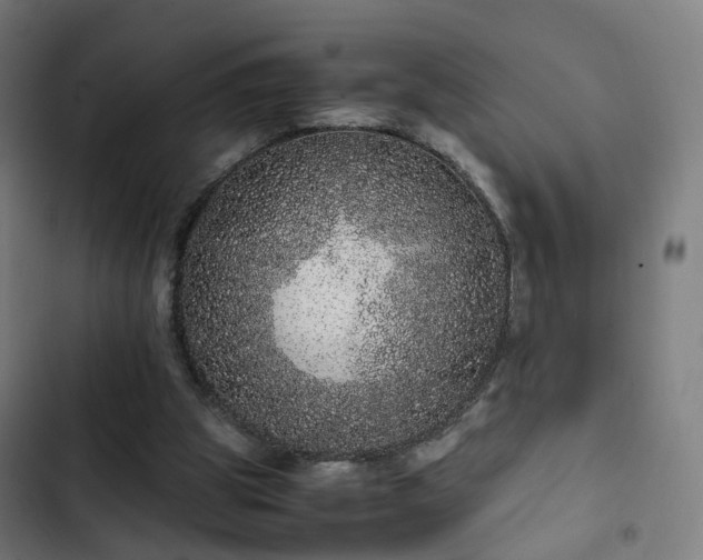 X0000103270153200809051515
