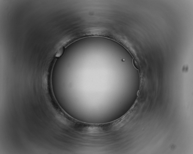 X0000103270154200809051515