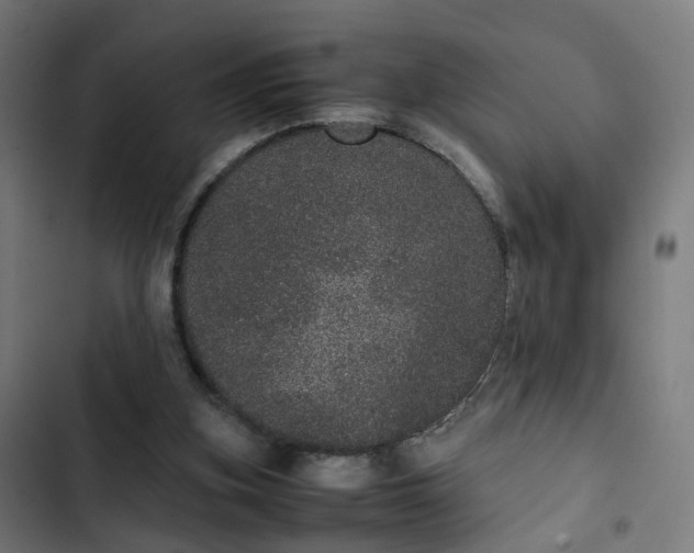 X0000103270155200809051515