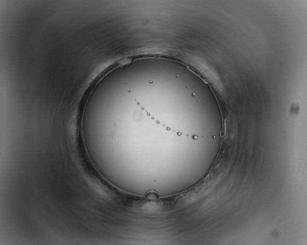 X0000103270156200809051515