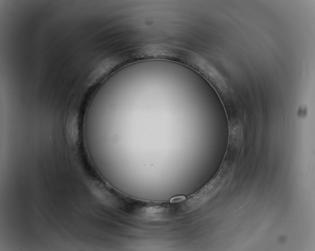 X0000103270158200809051515