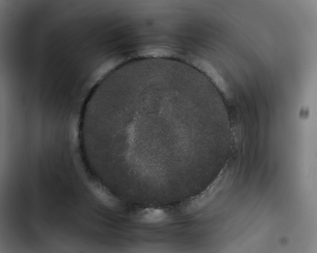 X0000103270159200809051515