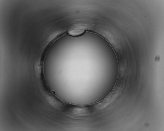 X0000103270160200809051515