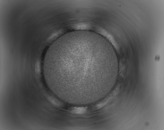 X0000103270161200809051515