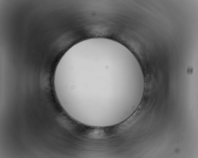 X0000103270162200809051515