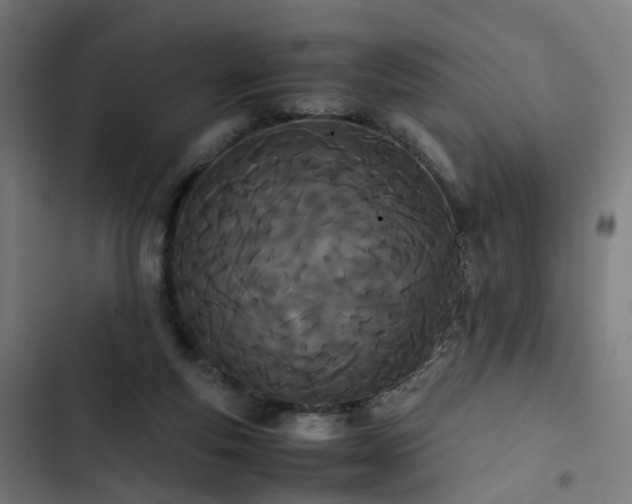 X0000103270163200809051516