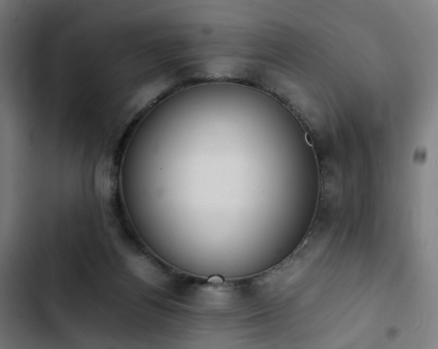 X0000103270164200809051516