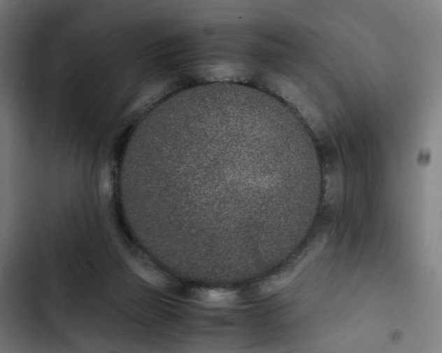 X0000103270165200809051516