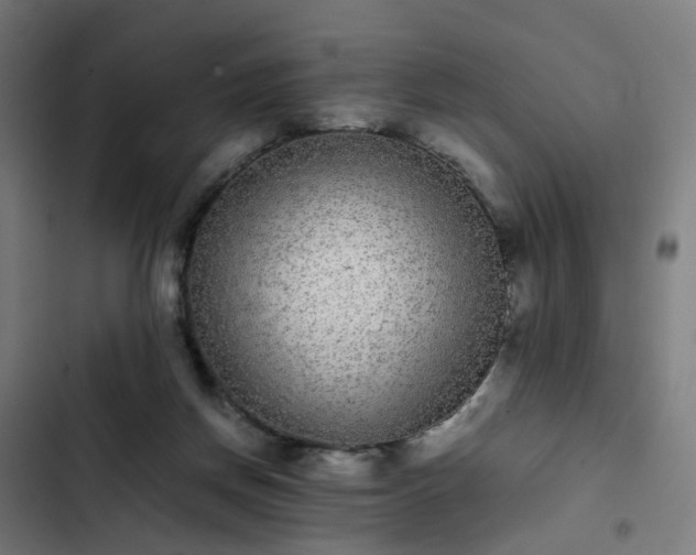 X0000103270166200809051516