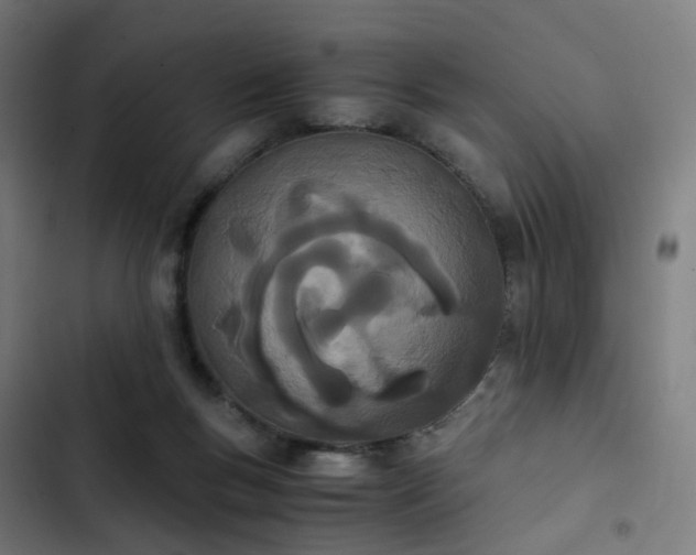 X0000103270167200809051516