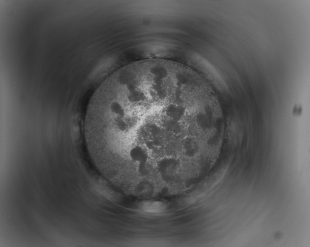 X0000103270169200809051516