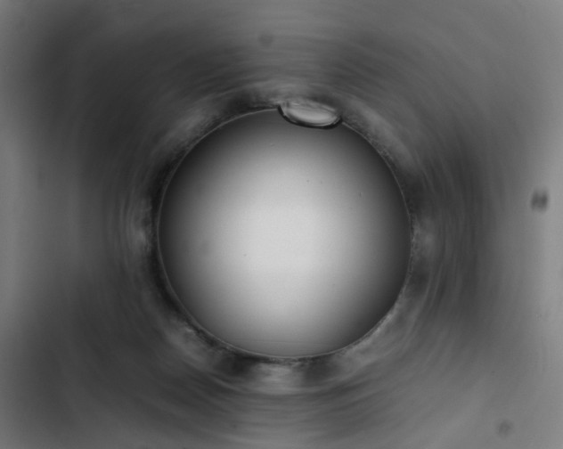X0000103270170200809051516
