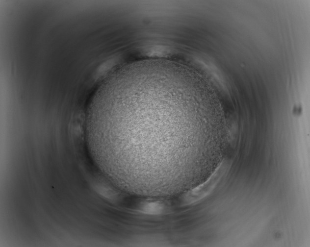 X0000103270175200809051516