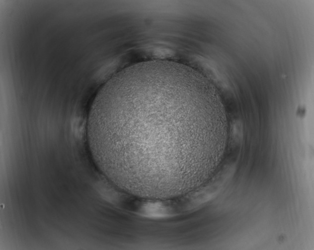 X0000103270177200809051516