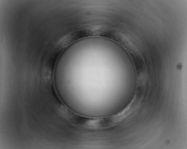 X0000103270178200809051516
