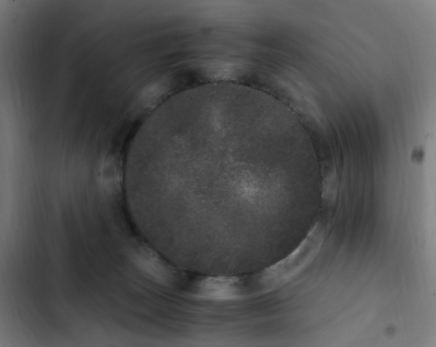 X0000103270179200809051516
