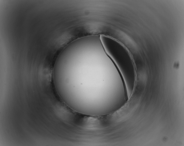X0000103270180200809051516