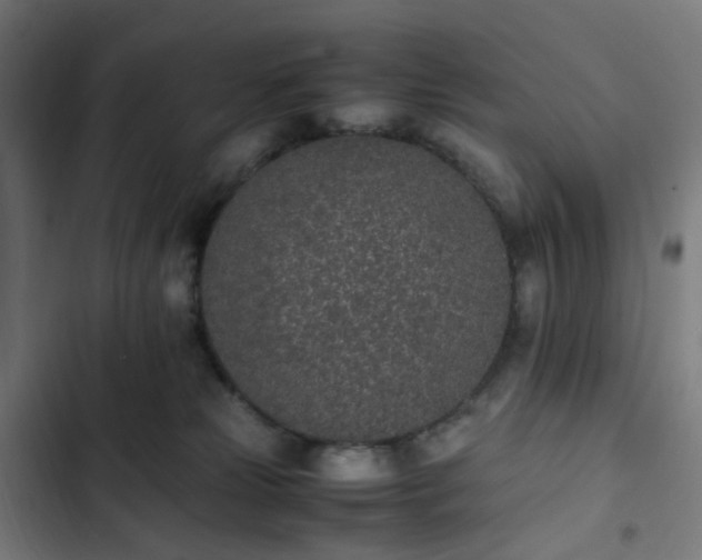 X0000103270181200809051516