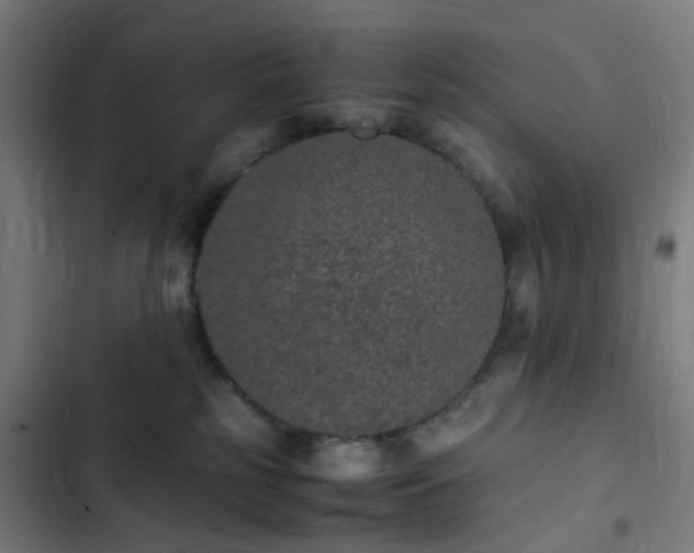 X0000103270185200809051516