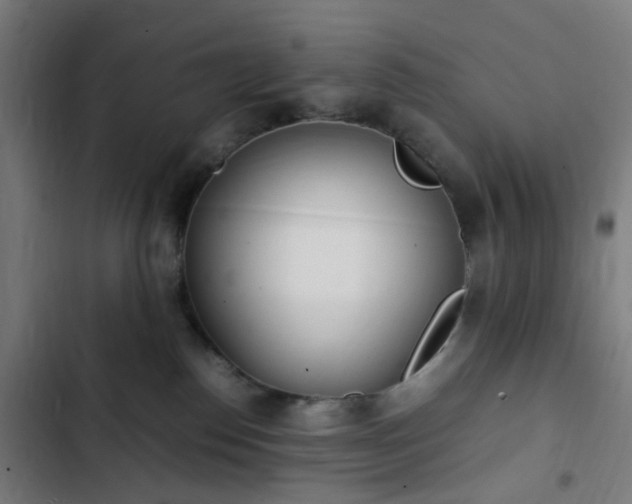 X0000103270186200809051516