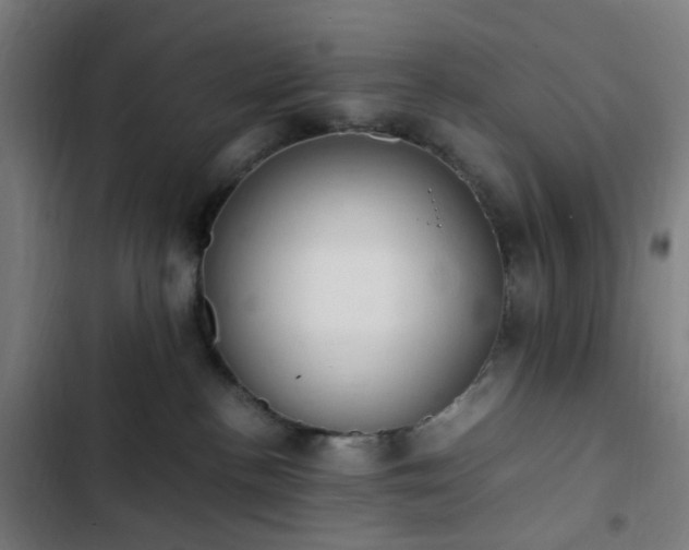 X0000103270188200809051516