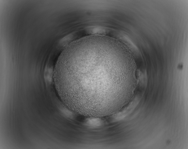 X0000103270189200809051516
