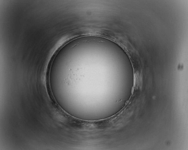 X0000103270195200809051515