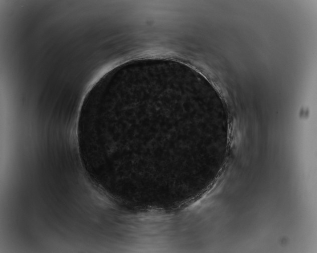 X0000103270196200809051515