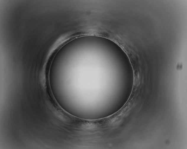 X0000103270198200809051515