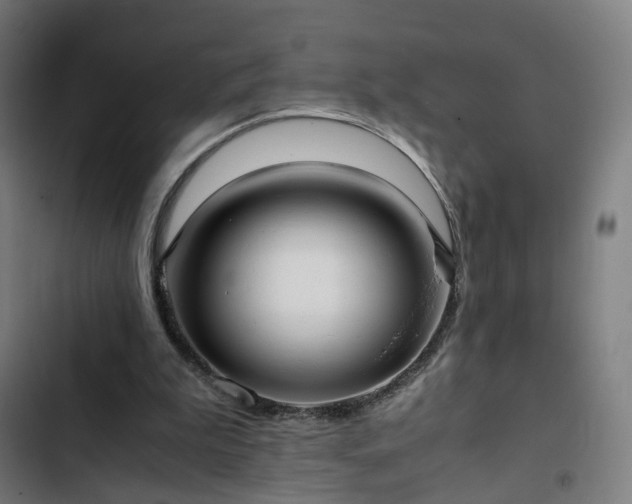 X0000103270199200809051515