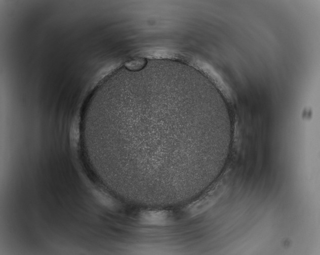 X0000103270202200809051515